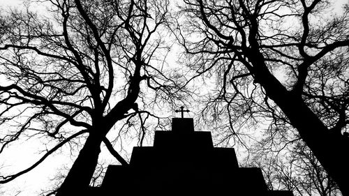 Low angle view of silhouette tree against sky