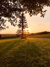 Scenic view of field against sky during sunset