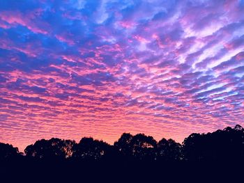 Low angle view of silhouette trees against dramatic sky