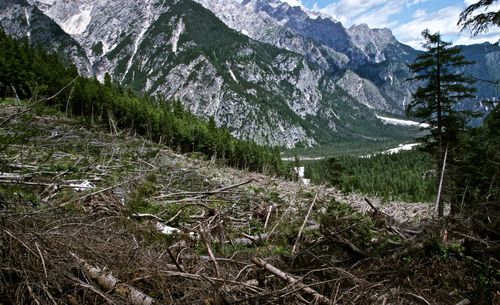Scenic view of land and mountains