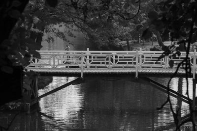 Bridge over river against trees