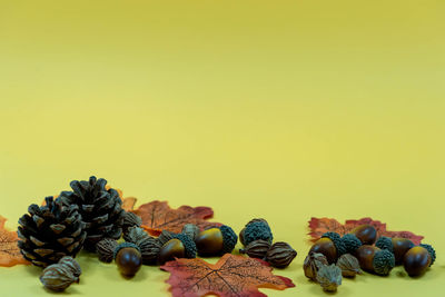 Close-up of fruits on table against yellow background