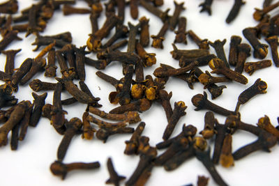 Close-up of cloves on white background