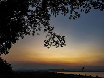 Silhouette trees against sky during sunset