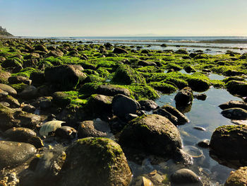 Surface level of rocks in sea against sky