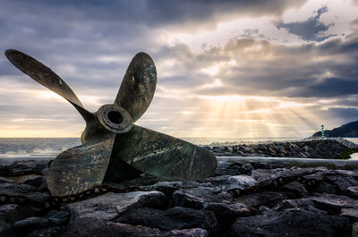 Close-up of abandoned propeller