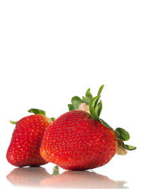 Close-up of red fruit on white background