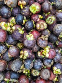 Full frame shot of blueberries