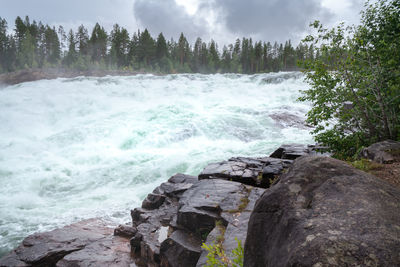 Scenic view of rocks in sea against trees