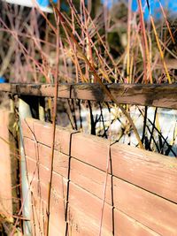 Close-up of rusty wood