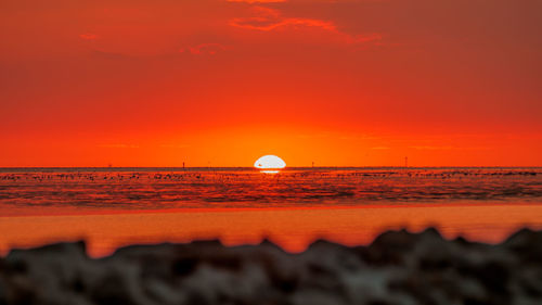 Scenic view of sea against orange sky