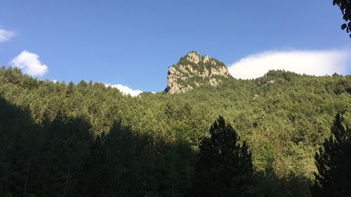 Panoramic view of trees and mountains against sky