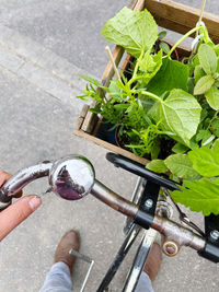 High angle view of person holding bicycle on street