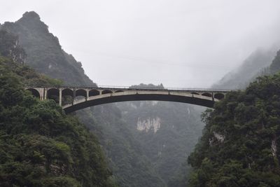 Bridge over forest during foggy weather