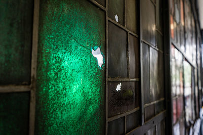 View of bird on wall