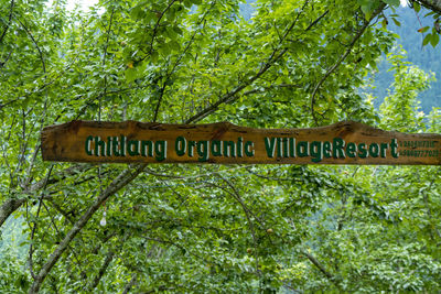 Information sign against trees