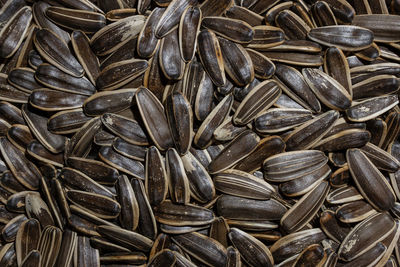 sunflower seed