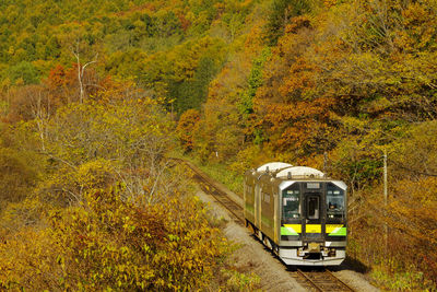 Train on field during autumn