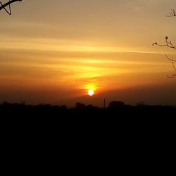 Silhouette of trees at sunset