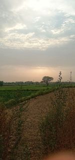 Scenic view of field against sky during sunset