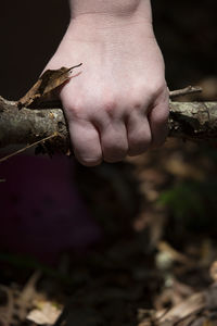 Close-up of hands on leaves