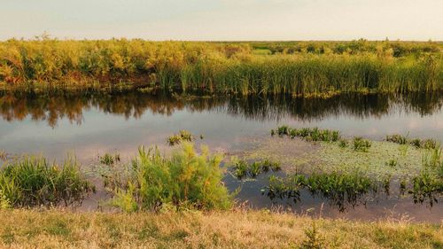 Scenic view of lake