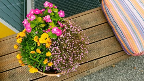 High angle view of pink flower pot on table