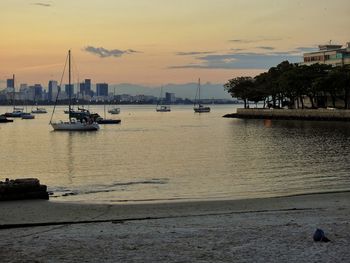 Sailboats in marina at sunset