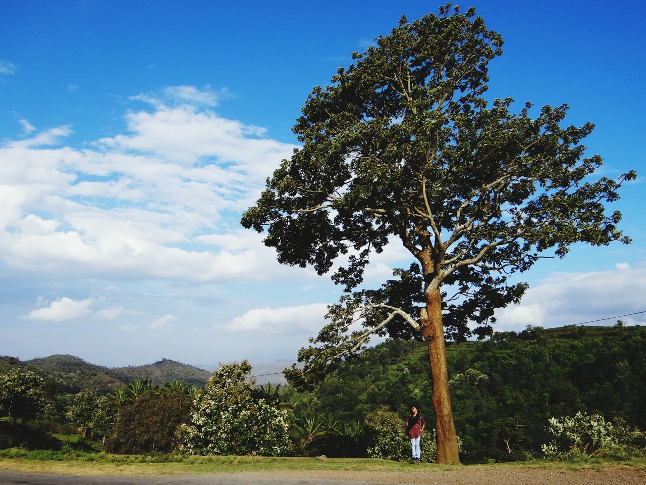 SCENIC VIEW OF LANDSCAPE AGAINST CLOUDY SKY