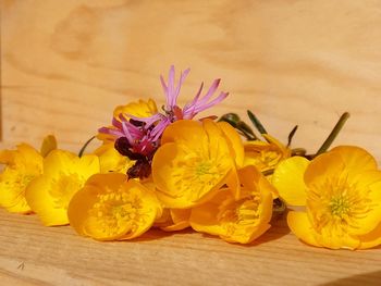 Close-up of yellow flowers on table