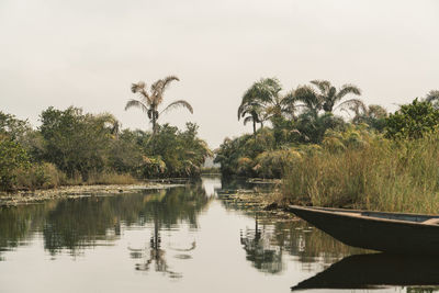 Scenic view of palm trees by lake against sky