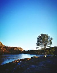 Scenic view of sea against clear blue sky