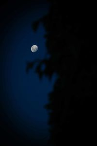 Low angle view of moon in sky at night