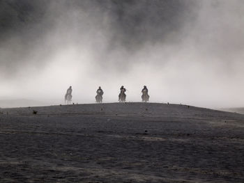 Man riding horses on field during foggy weather