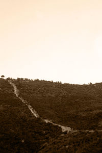 Scenic view of landscape against clear sky