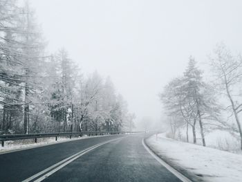 Road amidst trees during winter