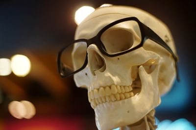 Close-up of eyeglasses on human skull