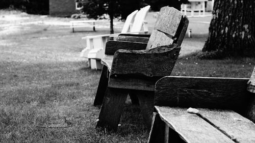 Close-up of wood on field