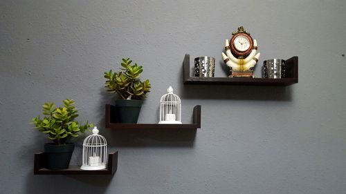 Potted plants and clock on shelf against wall