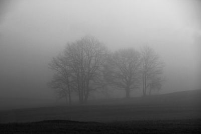 Bare trees on field against sky during winter