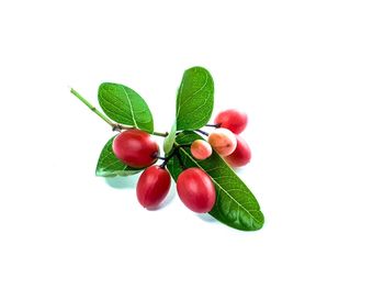 Close-up of fruits against white background