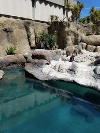 View of swimming pool by sea