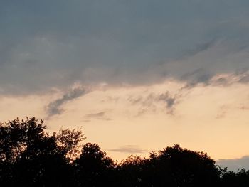 Low angle view of silhouette trees against sky at sunset