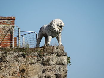 Low angle view of animal on rock against clear sky