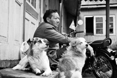 Side view of thoughtful mature man with dogs sitting outdoors