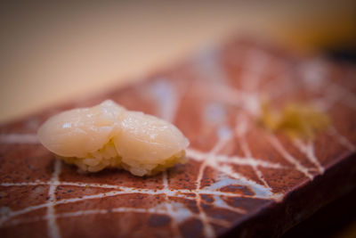 Close-up of sushi in plate on table
