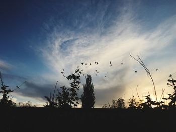 Silhouette birds flying against sky during sunset