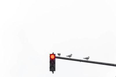 Low angle view of road sign against clear sky