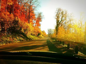 Road passing through trees