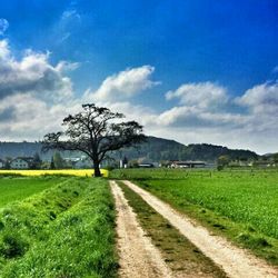 Road passing through grassy field against cloudy sky